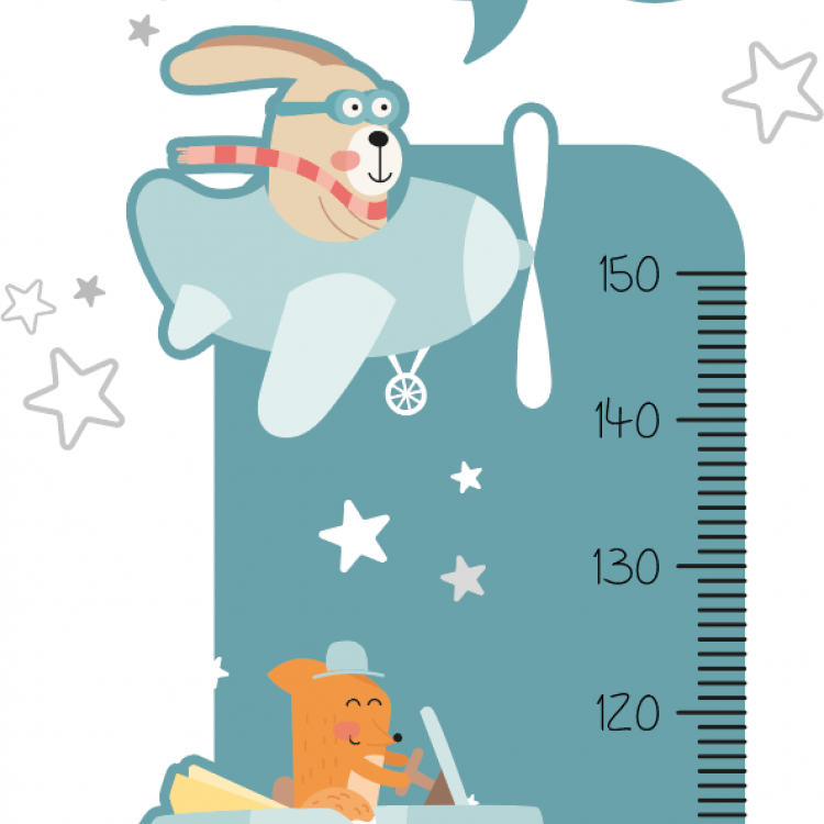 Medidor Sticker modelo Rabbit