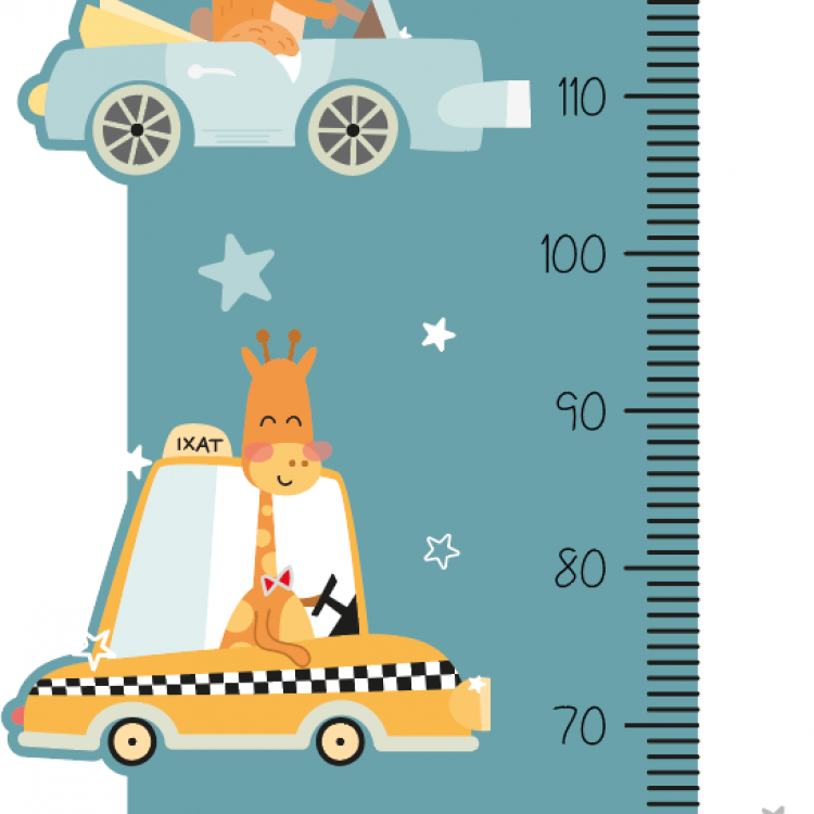 Medidor Sticker modelo Rabbit