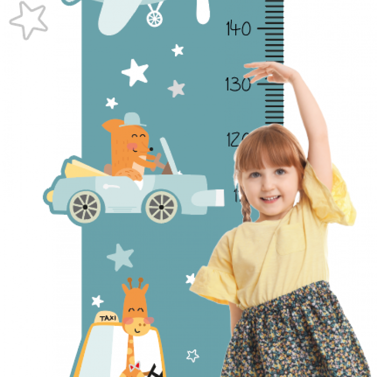 Medidor Sticker modelo Rabbit