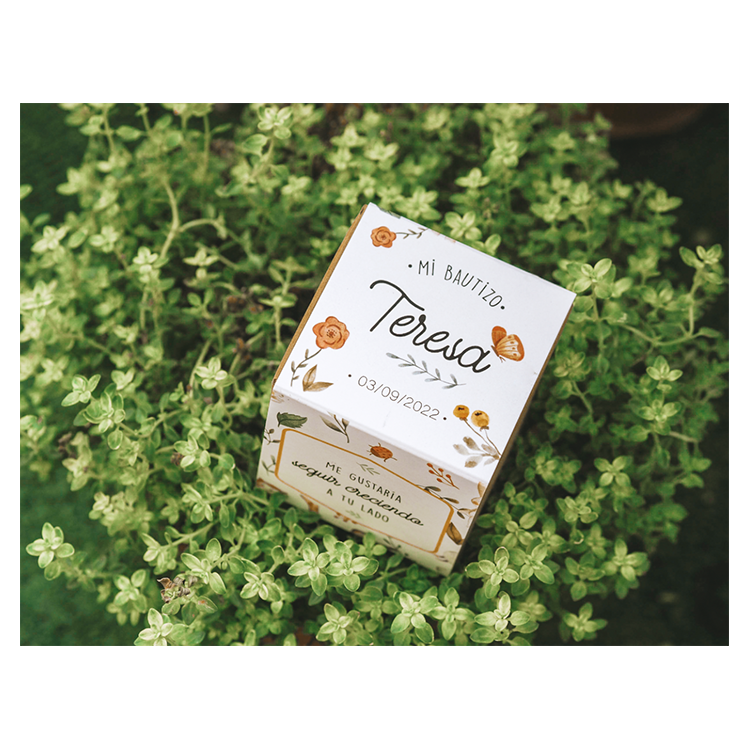 Kit de semillas modelo Bautizo