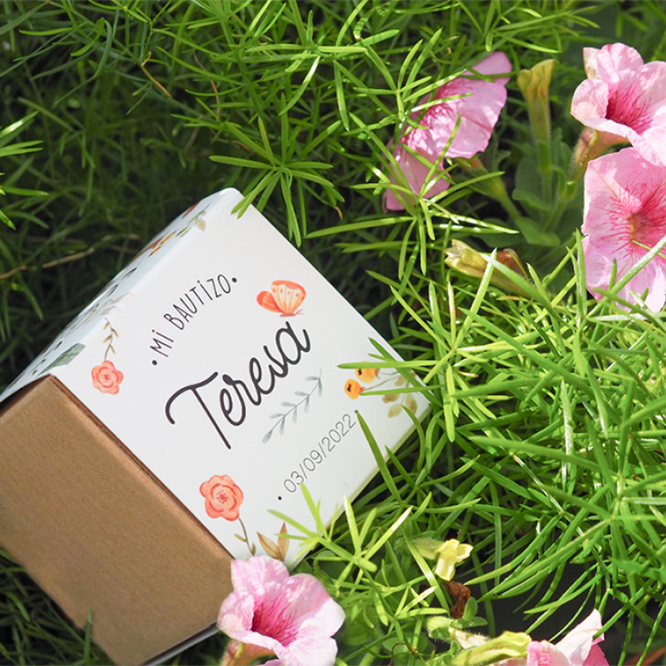 Kit de semillas modelo Bautizo