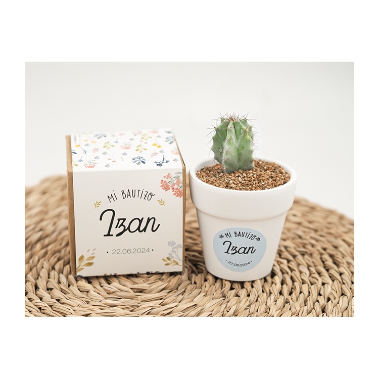 kit bautizo cactus