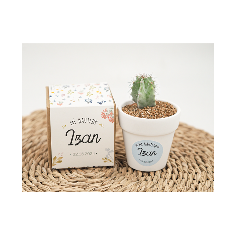 kit bautizo cactus