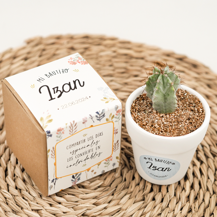 kit bautizo cactus